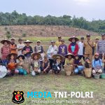 Polsek Meranti Tanam Perdana Jagung di Lahan Percontohan