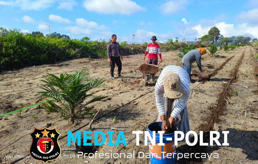 Kapolsek Mandor Bersama Warga Laksanakan Persiapan Tanam Jagung untuk Dukung Ketahanan Pangan