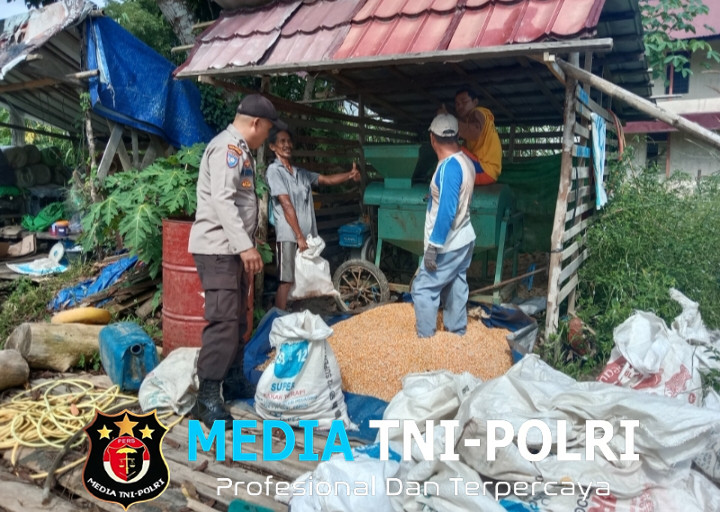 Bhabinkamtibmas Polsek Air Besar Dampingi Poktan Tuah Talino Saat Perontokan Biji Jagung