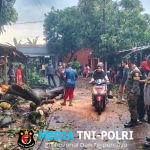 Pohon Tumbang Akibat Hujan Deras dan Angin Kencang, Polsek Cileungsi Tindak Cepat di Lokasi