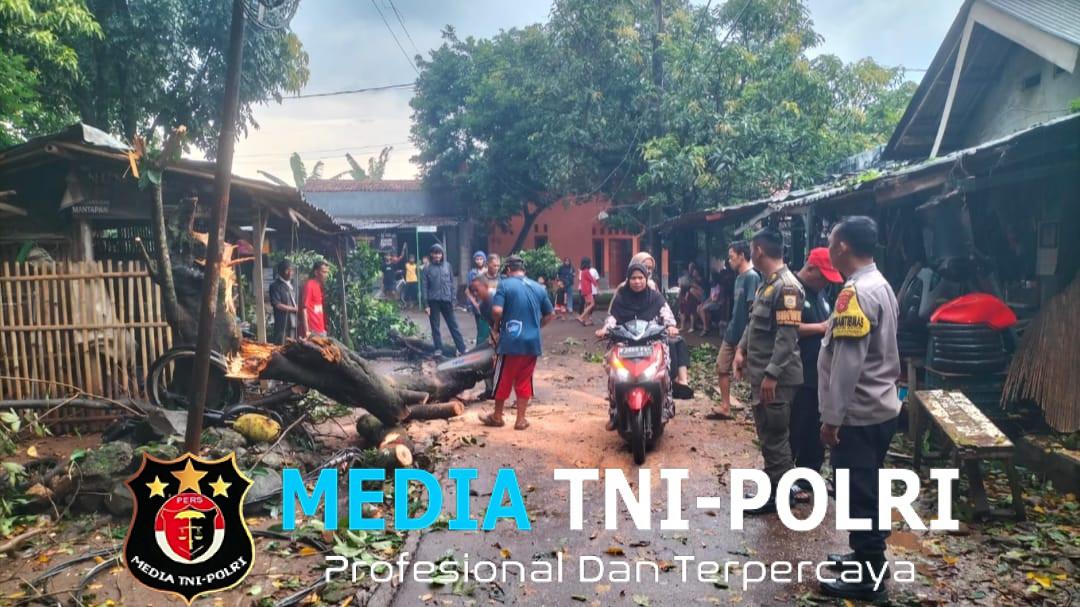 Pohon Tumbang Akibat Hujan Deras dan Angin Kencang, Polsek Cileungsi Tindak Cepat di Lokasi