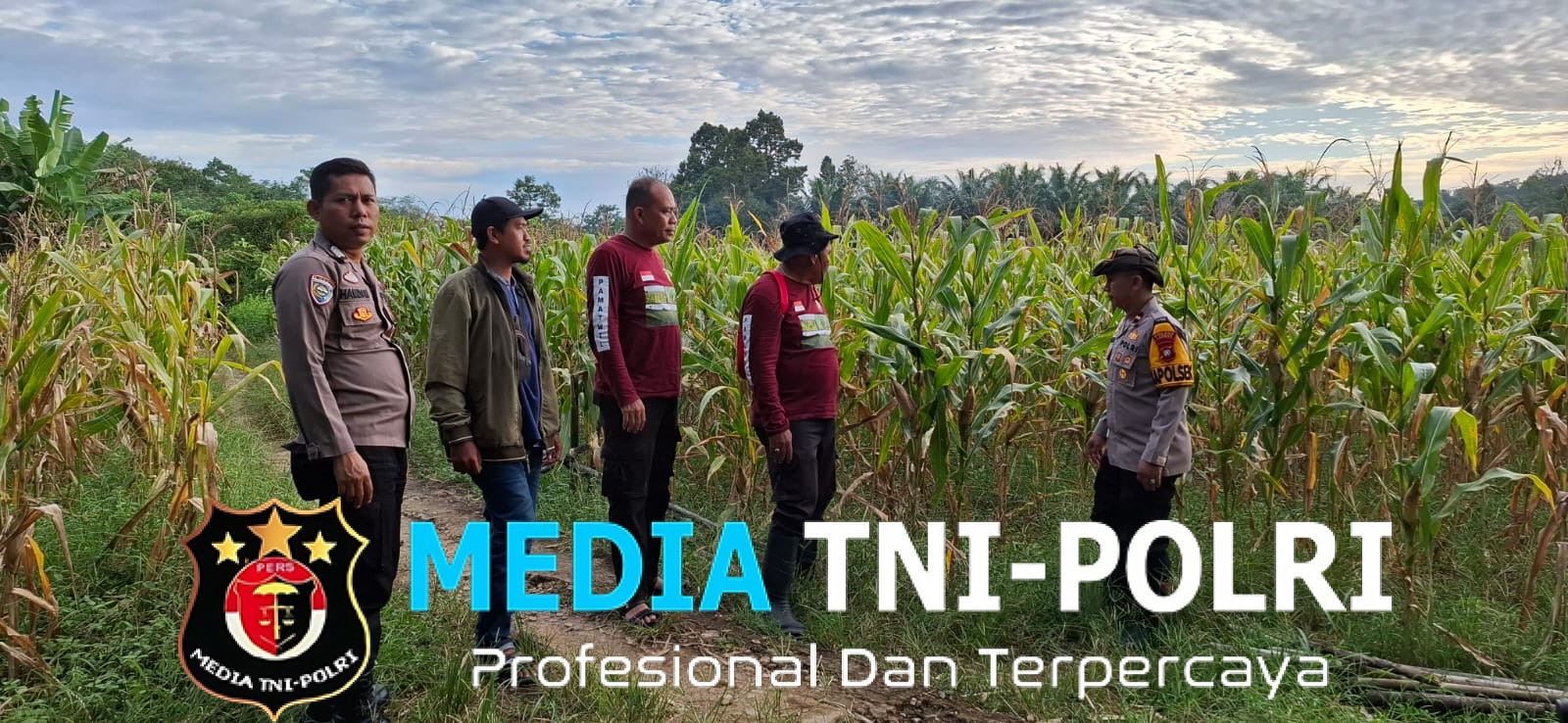 Kapolsek Mempawah Hulu Tinjau Kesiapan Lokasi Panen Perdana Tanaman Jagung