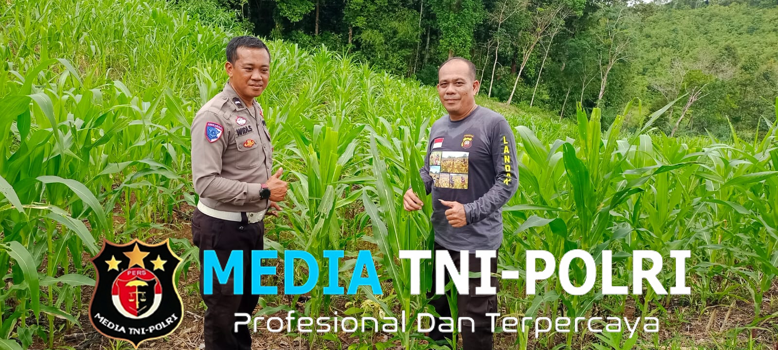 Polsek Mempawah Hulu Rutin Pantau Pertumbuhan Jagung
