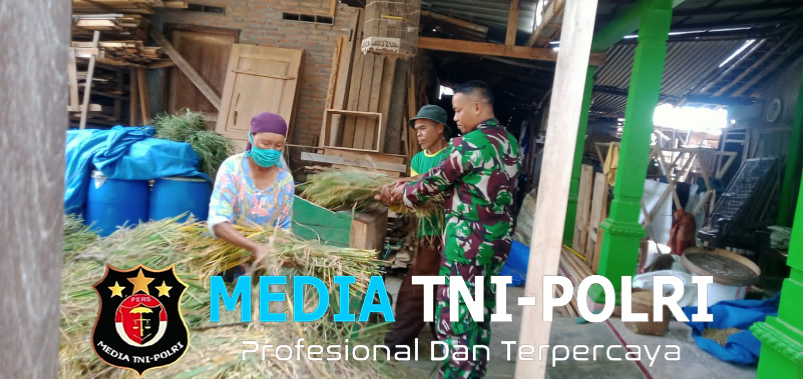 Babinsa Kemusu Sambangi Warga Sekaligus Membantu Panen