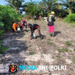 Polsek Ngabang Laksanakan Penanaman Bibit Jagung Hibrida R1 Nusantara Secara Berkelanjutan