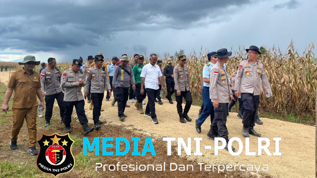 Dansatbrimob Polda Kalbar Bersama dengan Pejabat Utama Polda Kalbar Damping Wakapolda Kalbar melakukan Pengecekan Dilokasi Panen Raya Jagung Kuartal II