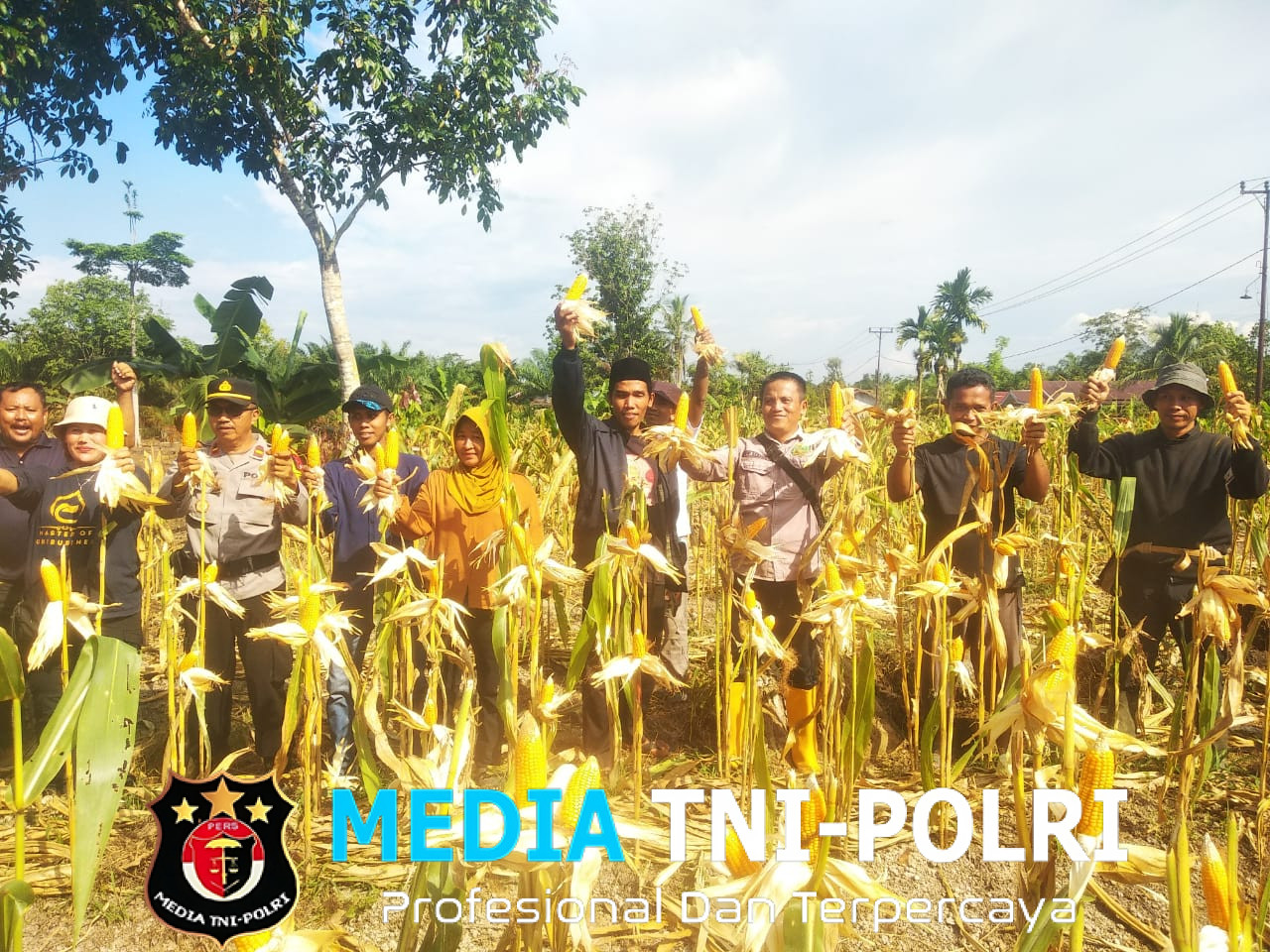 Hasilkan 5 Ton Jagung, Poktan Mekar Baru Jadi Contoh Pertanian Produktif