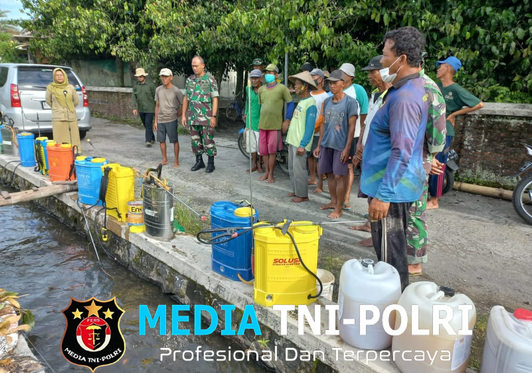 Babinsa Sawit Bersama Petani Desa Bendosari Lakukan Penyemprotan Hama