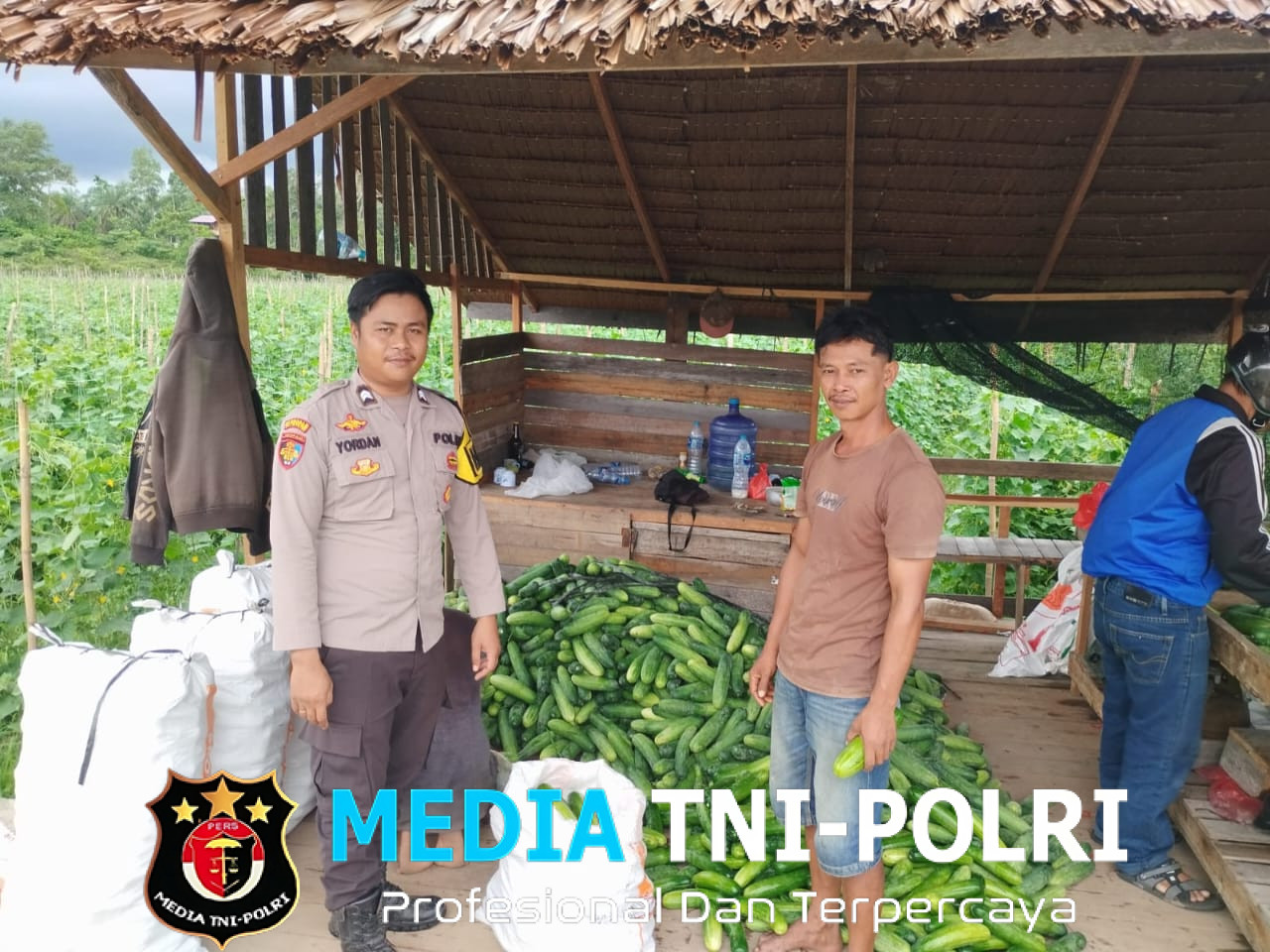 Polri Peduli Pangan, Bhabinkamtibmas Tinjau Kebun Perkarangan di Mandor