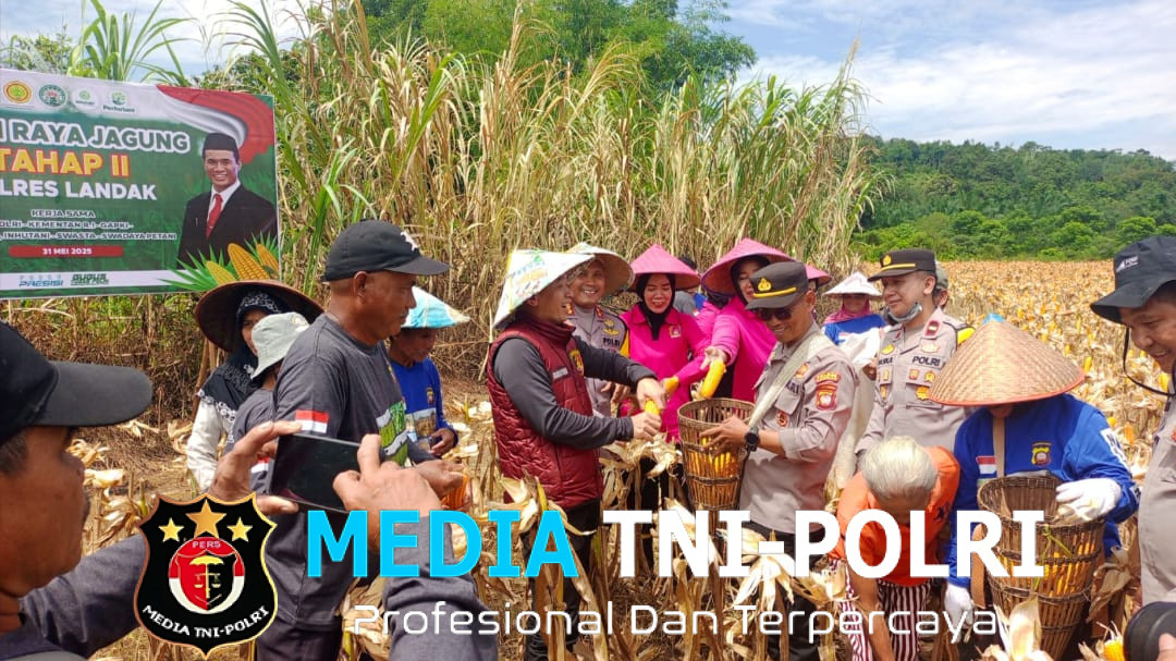 Pamatwil Polda Kalbar hadiri Panen Raya Jagung Tahap II Polres Landak di Mempawah Hulu