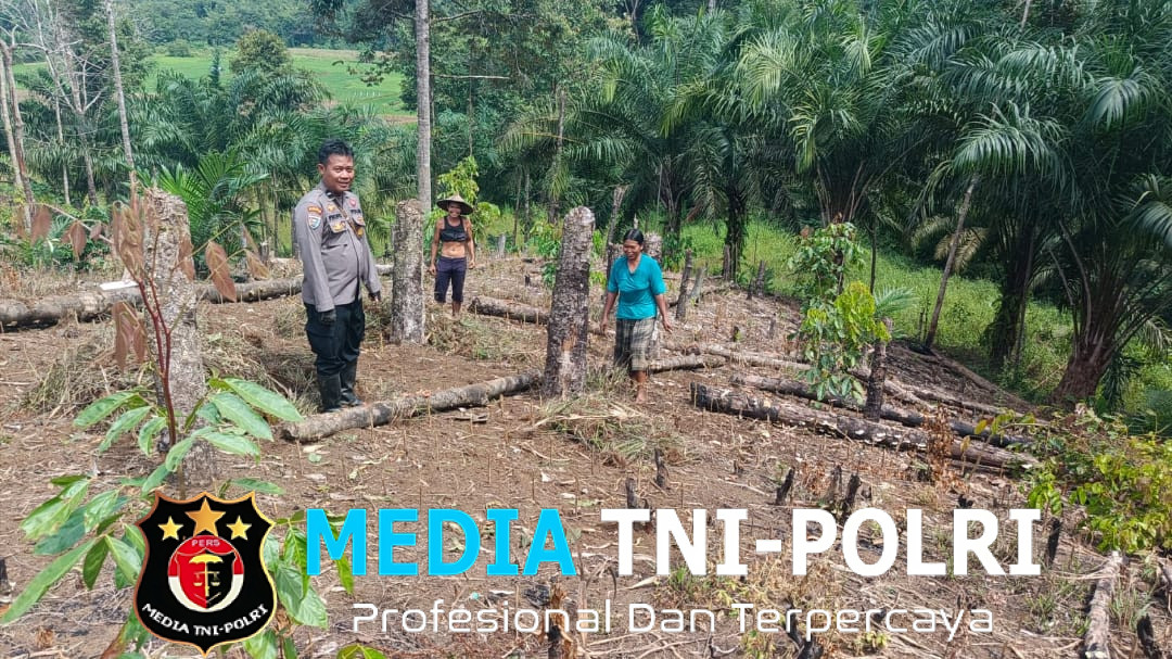 Bintara Penggerak Ketahanan Pangan Polsubsektor Sompak Pantau Progres Pertumbuhan Jagung