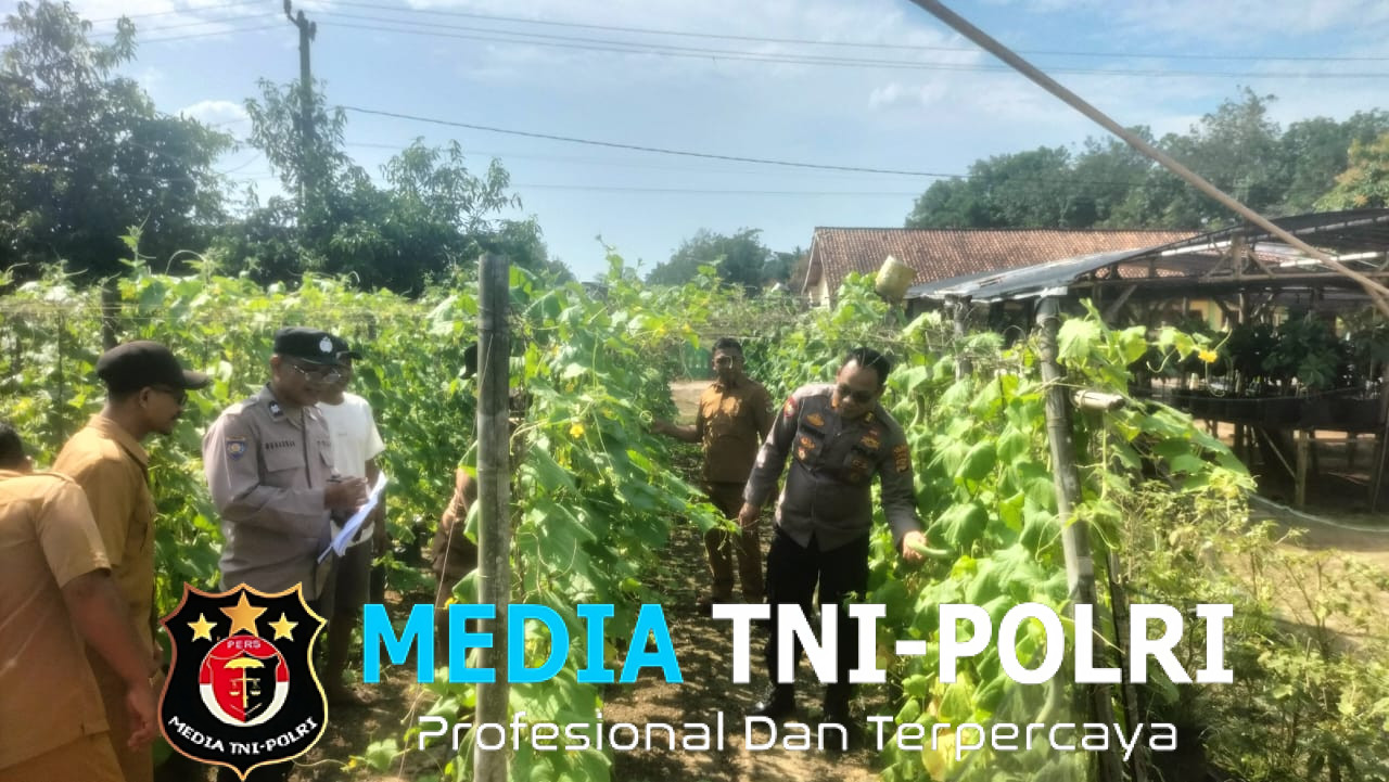 Dukung Asta Cita Presiden Prabowo, Kabag Ren Polres Mesuji Pimpin Penilaian Lomba Pekarangan Lahan Bergizi (P2B)