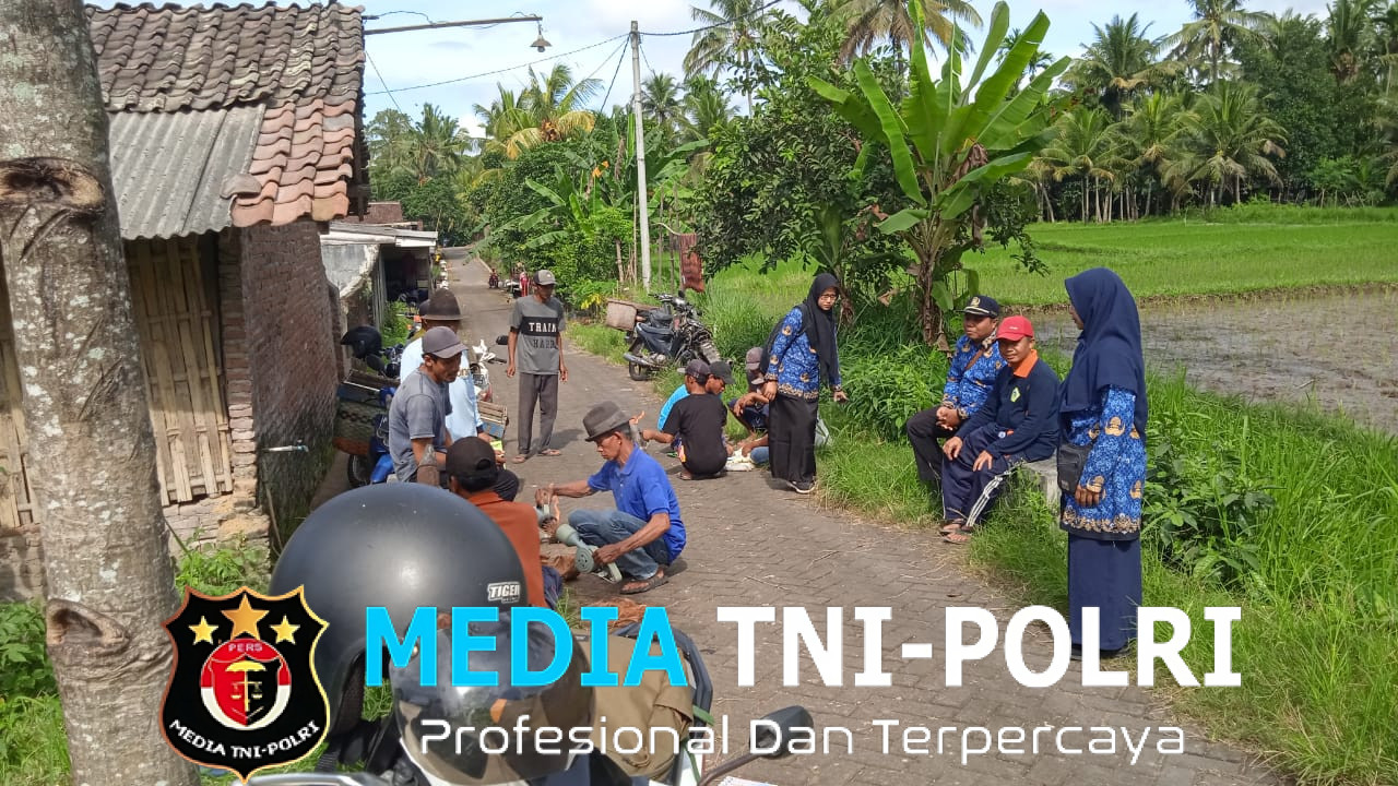 Babinsa Aktif Dukung Gardal OPT di Tamansuruh Langkah Inovatif Tangani Hama Tikus Sawah