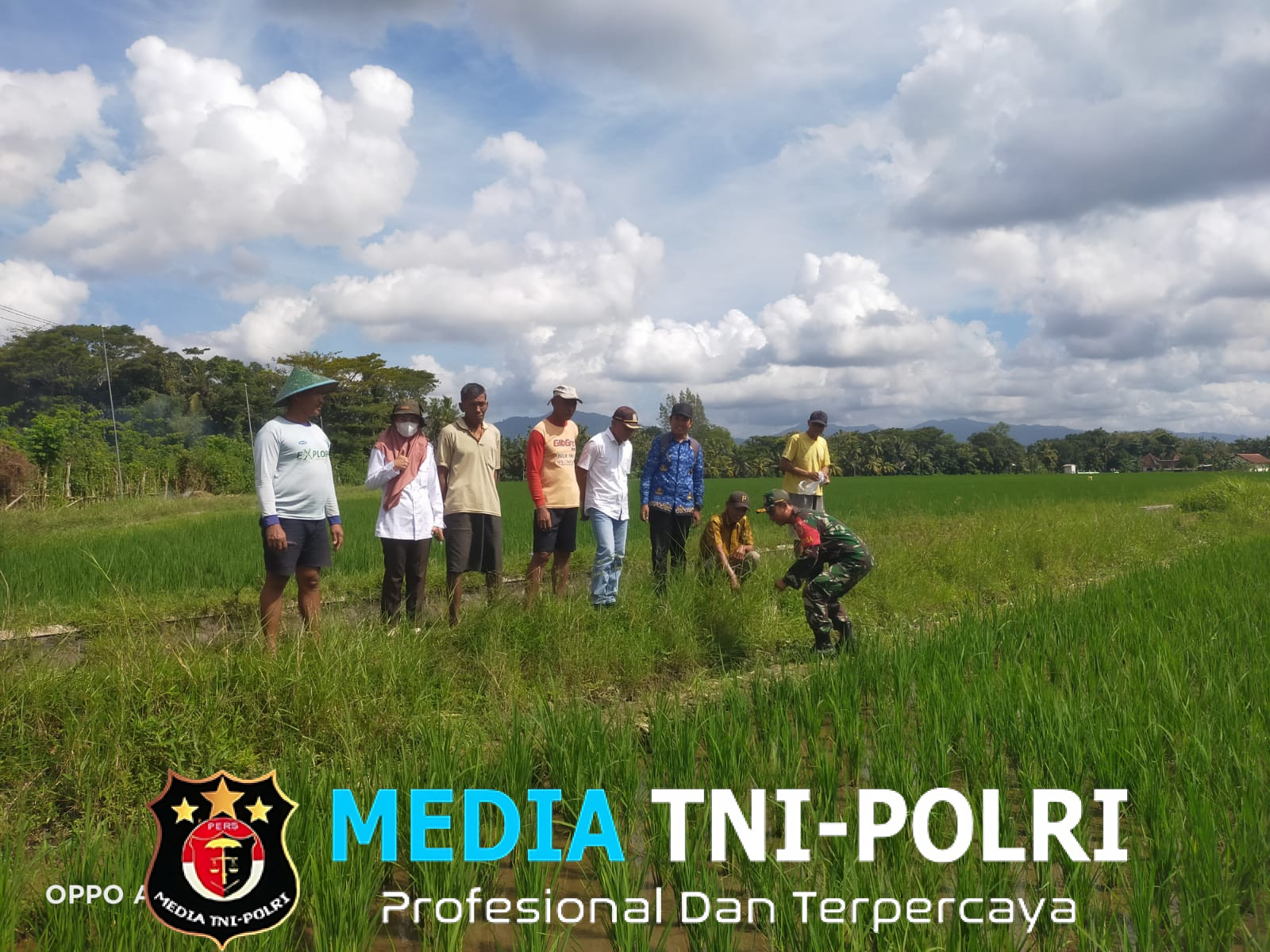 Babinsa dan BPP Bangorejo Laksanakan Gerakan Pengendalian Hama Tikus Demi Pertanian Lebih Produktif