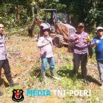 Polsek Sebangki Bersama BPP dan PT. CNP Lanjutkan Tahap Kedua Pengolahan Lahan Jagung Demplot Rajawali