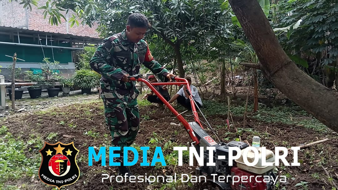 Dari Lahan Kosong Bantaran Sungai Makam Bergolo Serengan, Serda Ichsan Pelopori Barisan Ketahanan Pangan Untuk Negeri
