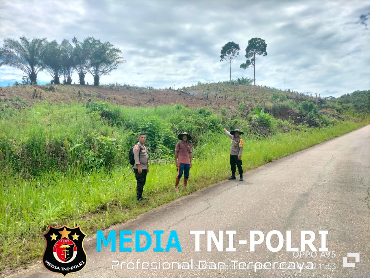 Kapolsek Air Besar Tinjau Lahan Demplot Jagung Hibrida, Dorong Ketahanan Pangan di Wilayah Pedalaman