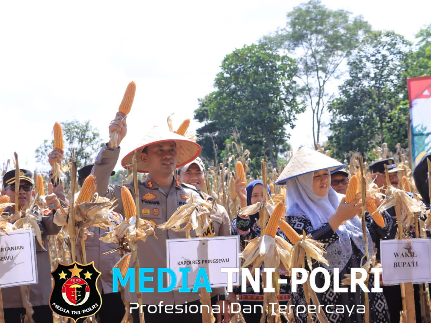 Dukung Kedaulatan Pangan, Polres Pringsewu Bersama Pemda dan Petani Gelar Panen Raya Jagung di Adiluwih