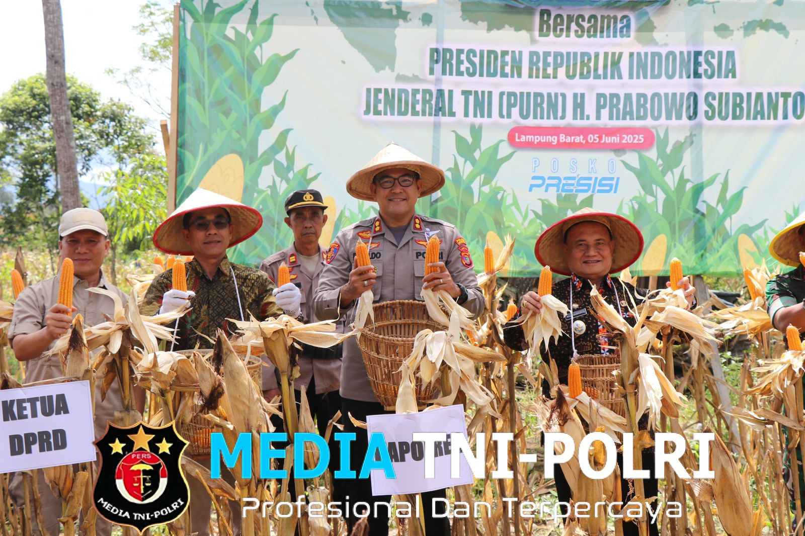 Polres Lampung Barat Dukung Ketahanan Pangan Lewat Panen Jagung Serentak