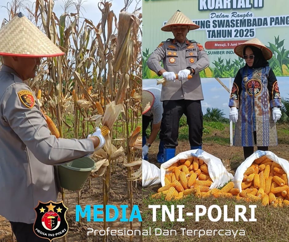 Kapolres Mesuji Bersama Forkopimkab Mesuji Laksanakan Panen Raya Jagung Serentak Kuartal ke-2 di Desa Talang Baru