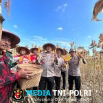 Aksi Nyata Dukung Ketahanan Pangan Nasional, Polres Wonogiri Panen Raya Jagung Secara Serentak Kuartal II Tahun 2025