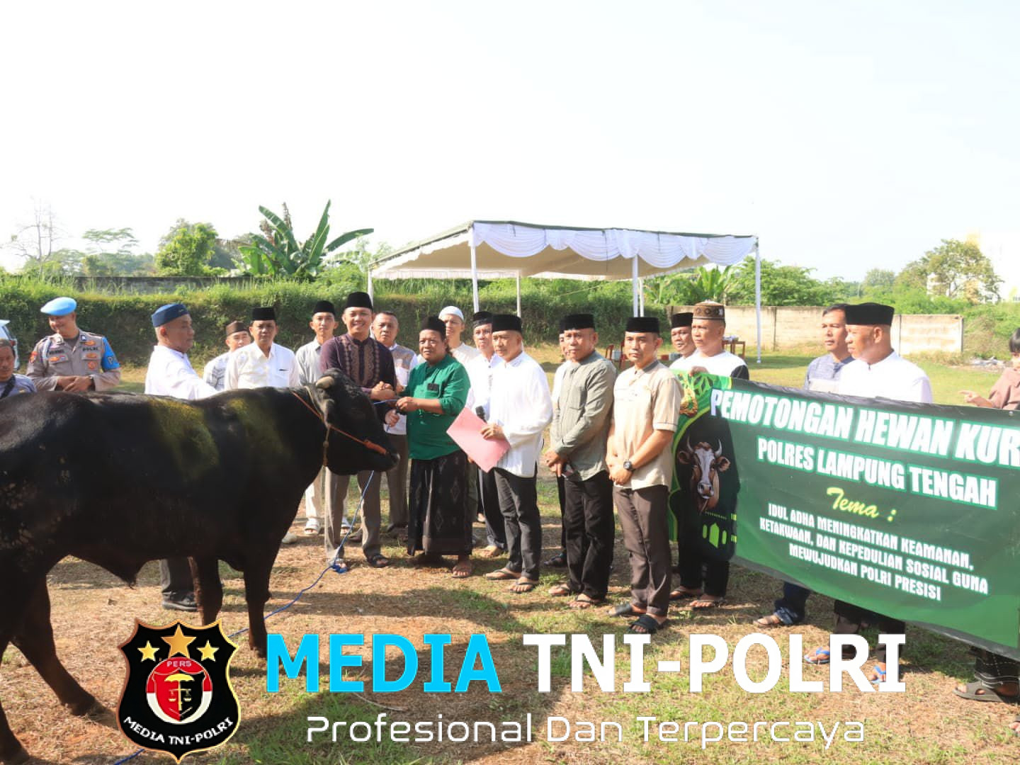 Hari Raya Idul Adha 1446 H, Polres Lampung Tengah Laksanakan Pemotongan 10 Ekor Sapi dan 2 Ekor Kambing Qurban