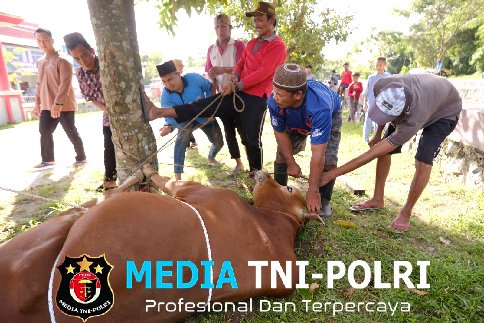Sambut Idul Adha, Jajaran Pemasyarakatan Kalteng Potong Sebanyak 34 Ekor Hewan Kurban