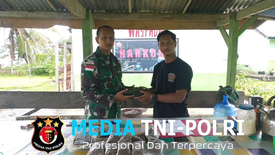 Satgas Yonif 131/Brajasakti Kembali Gagalkan Penyelundupan Ganja di Perbatasan Papua