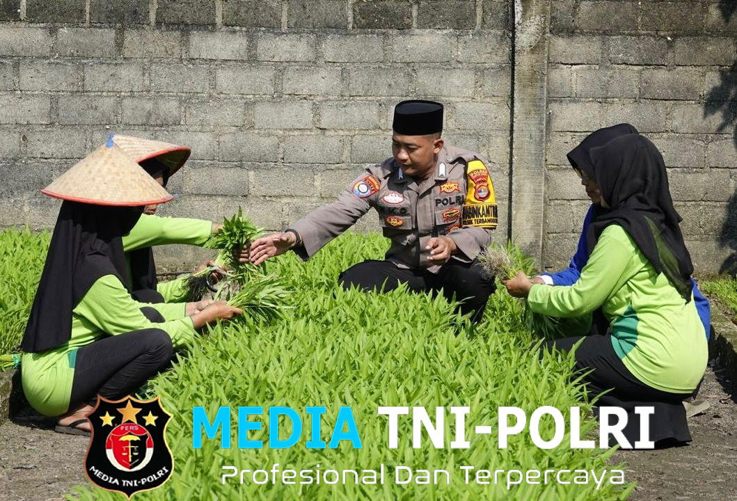 Dukung Asta Cita, Bhabinkamtibmas Polsek Terbanggi Besar Giatkan Program Ketahanan Pangan Lewat Sayur Mayur