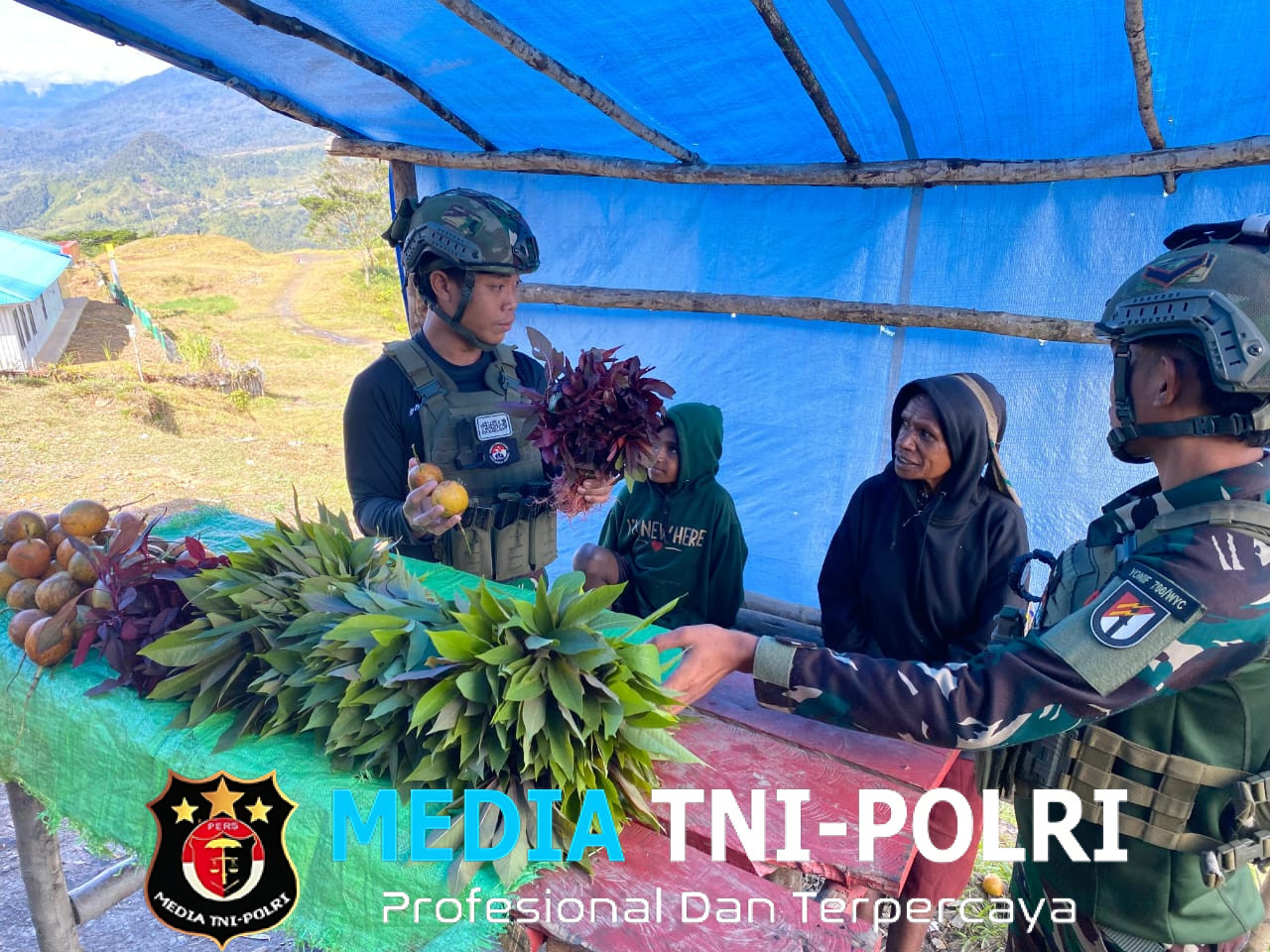 Di Antara Kabut dan Kasih Prajurit Satgas TNI Borong Harapan Petani di Pegunungan Wombru