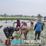 LATSITARDANUS XLV/2025 Wujudkan Aksi Nyata di Serang Dari Renovasi Masjid Hingga Penghijauan Lahan