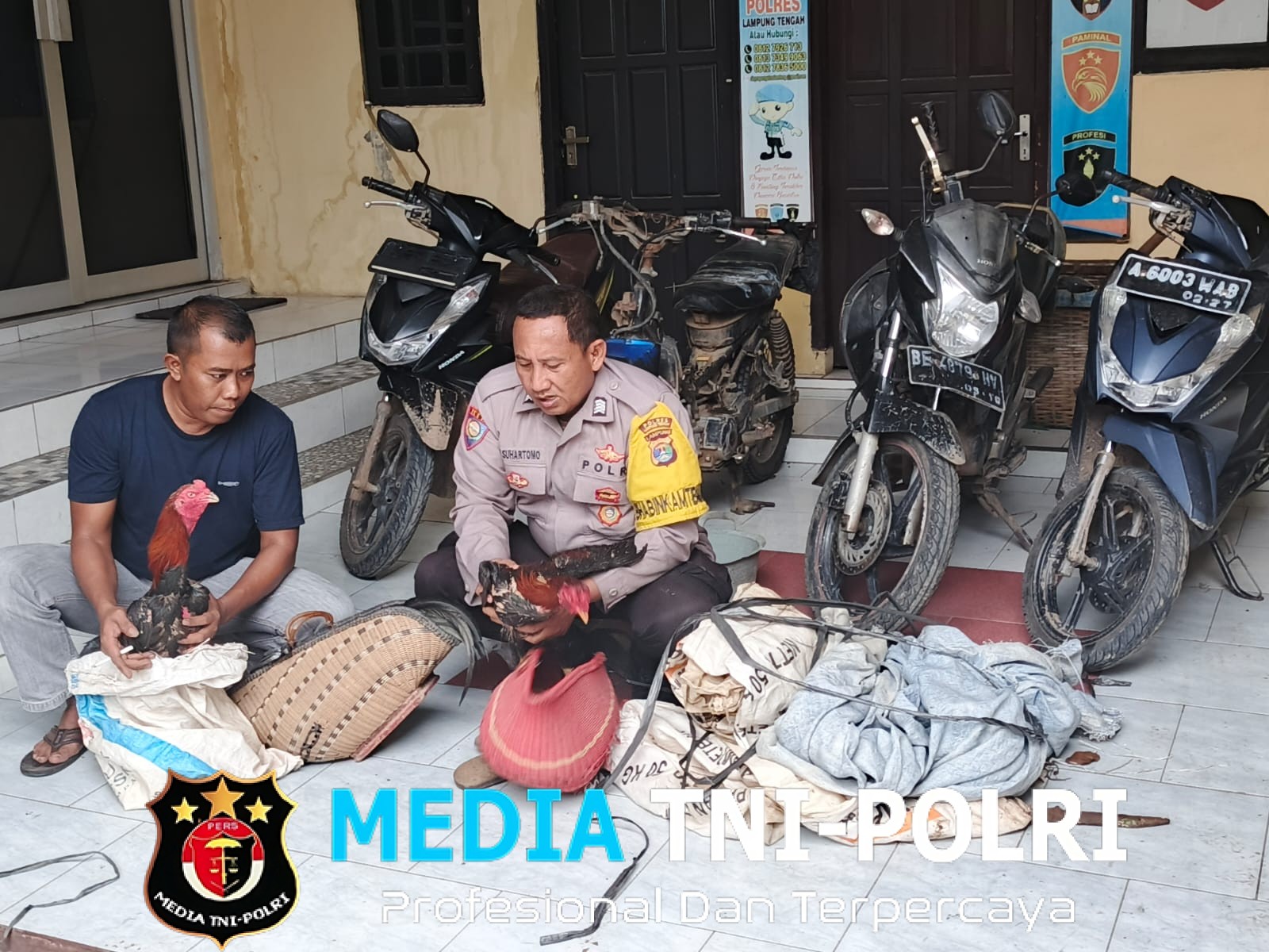 Grebek Arena Judi Sabung Ayam, Polsek Trimurjo Amankan 4 Sepeda Motor