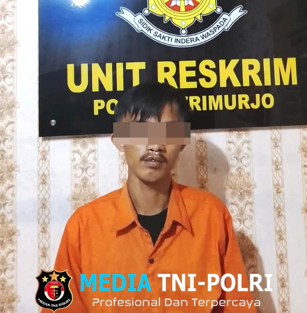 Diduga Menjadi Penadah Kasus Curas, Seorang Pria Berhasil Diringkus Tekab 308 Presisi Polsek Trimurjo