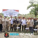 Wakapolda Aceh Panen Raya Jagung Serentak Kuartal II