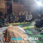 Polisi Imbau Warga Waspada, Seorang Petani Diduga Meninggal Diterkam Harimau di Lampung Barat