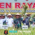 Panglima TNI Panen Raya Padi di Lahan Ketahanan Padi Kodam I/BB di Deli Serdang