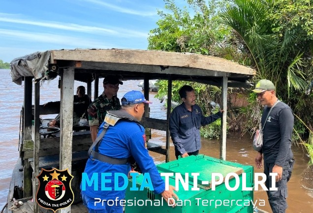 BKSDA Resort Sampit Lakukan Observasi Kemunculan dan Gangguan Beruang Madu