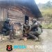 Satgas Ops Damai Cartenz Berhasil Tangkap KKB Male Telenggen di Puncak Jaya