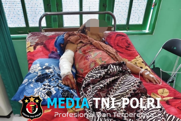 Buaya Muara Serang Warga Desa Bagendang Permai Saat Mandi di Sungai Mentaya