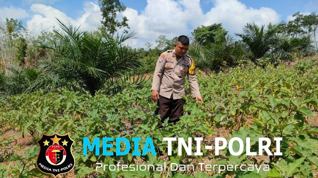 Dukung Ketahanan Pangan, Bhabinkamtibmas Desa Pongok Tinjau Kebun Perkarangan Bergizi Milik Warga