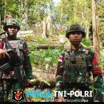 Satgas Pamtas Yonif 763/SBA Pos Afkrem Bantu Warga Buat Pagar Kebun di Kampung Afkrem