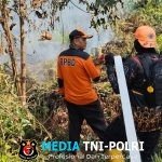 Ditinggal Sholat Jum’at, Api Hanguskan Lahan Semak di Kelurahan Baamang Hulu