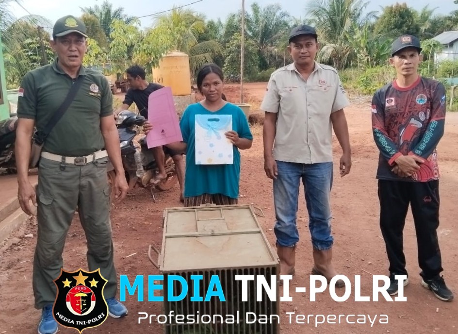 Seekor Bekantan Terlantar Diserahkan Pekerja Sawit ke BKSDA Resort Sampit