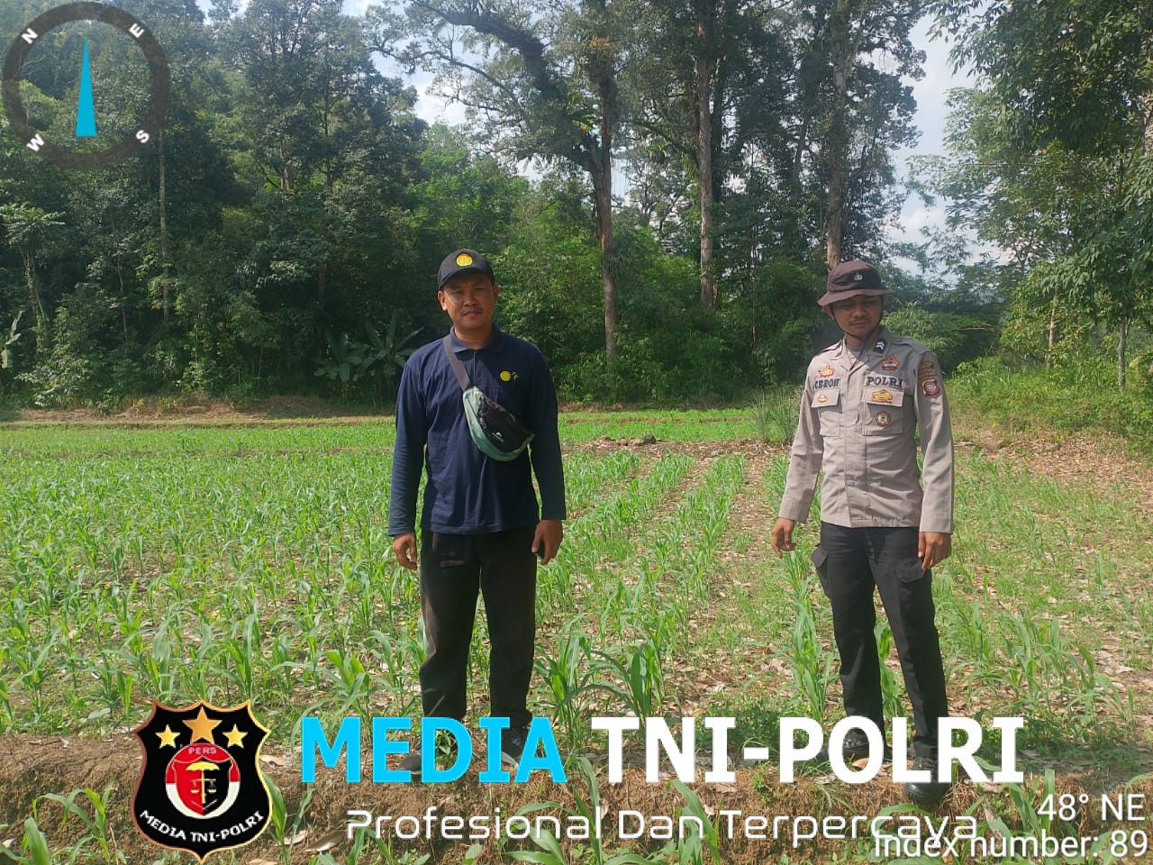 Bintara Penggerak Cek Progres Pertumbuhan Tanaman Jagung di Desa Tiang Tanjung