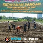 Satgas TMMD Reguler Ke-125 Bersama Warga Masyarakat Tanam Jagung, Dukung Ketahanan Pangan Nasional