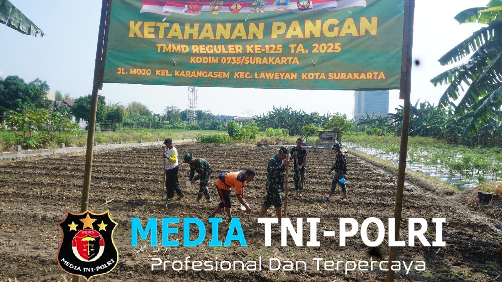 Satgas TMMD Reguler Ke-125 Bersama Warga Masyarakat Tanam Jagung, Dukung Ketahanan Pangan Nasional