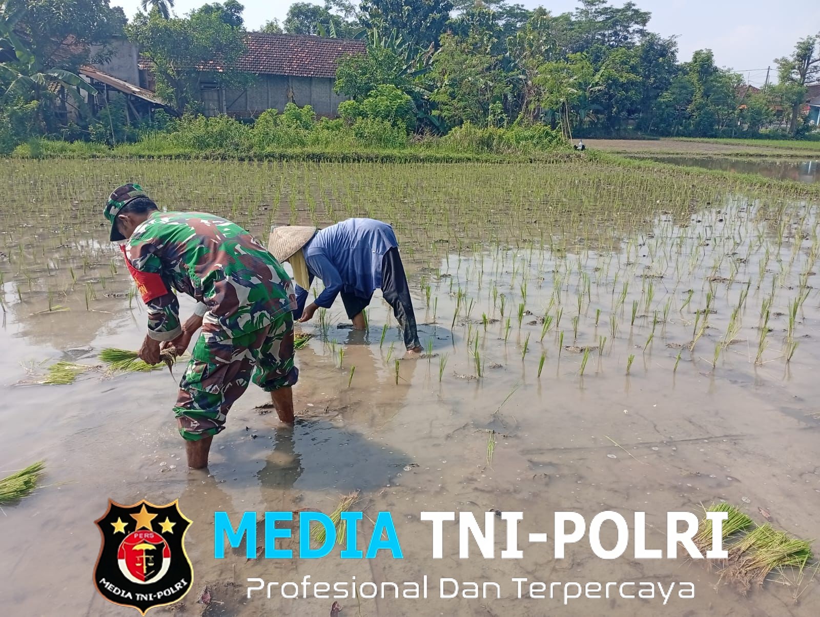 Ketersediaan Air Mumpuni, Babinsa Desa Maron Ajak Petani Percepat Masa Tanam Kedua