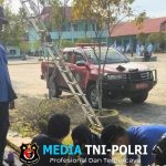 Disdamkarmat Kotim Evakuasi Sarang Lebah Madu di SMAN 3 Sampit