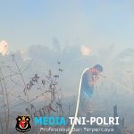 BPBD Kotim Padamkan Kebakaran Lahan di Baamang Hulu
