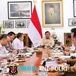 Presiden Prabowo Perintahkan Tindak Tegas Pelanggaran Standar Beras Premium dan Medium